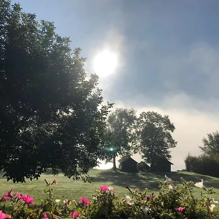 Garni Dorferwirt Am Irrsee Hotel 3*