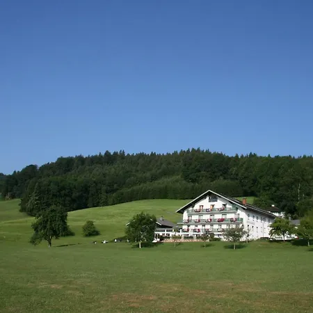 Hotel Garni Dorferwirt Am Irrsee Hotel 3*