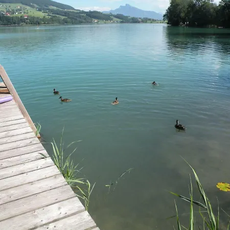 Hotel Garni Dorferwirt Am Irrsee Tiefgraben