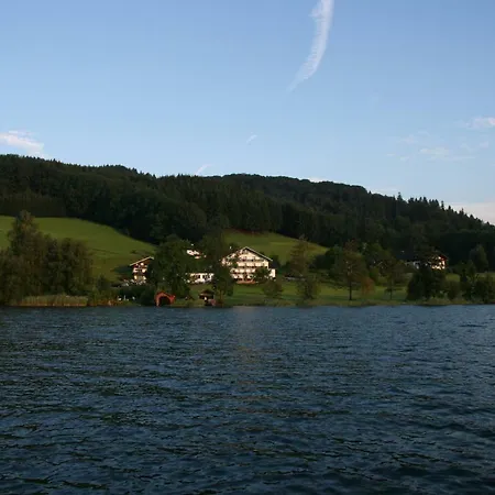 Garni Dorferwirt Am Irrsee 3* Tiefgraben