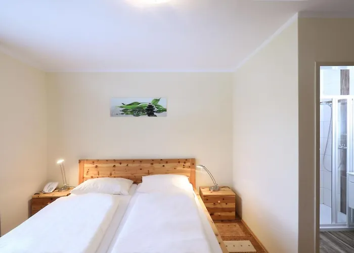 Hotel Garni Dorferwirt Am Irrsee 3* Tiefgraben