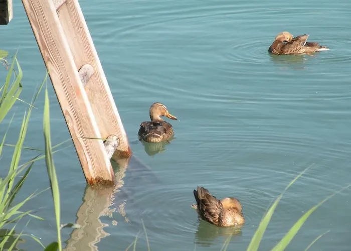 Garni Dorferwirt Tiefgraben