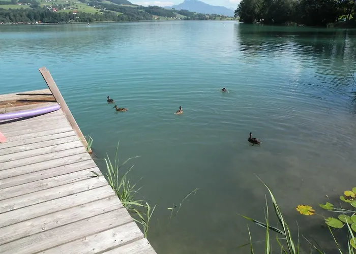 Hotel Hotel Garni Dorferwirt Am Irrsee Tiefgraben