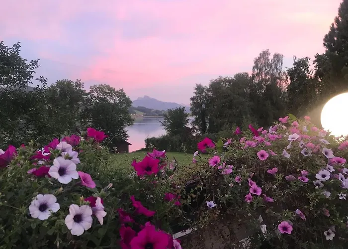 Garni Dorferwirt Am Irrsee فندق