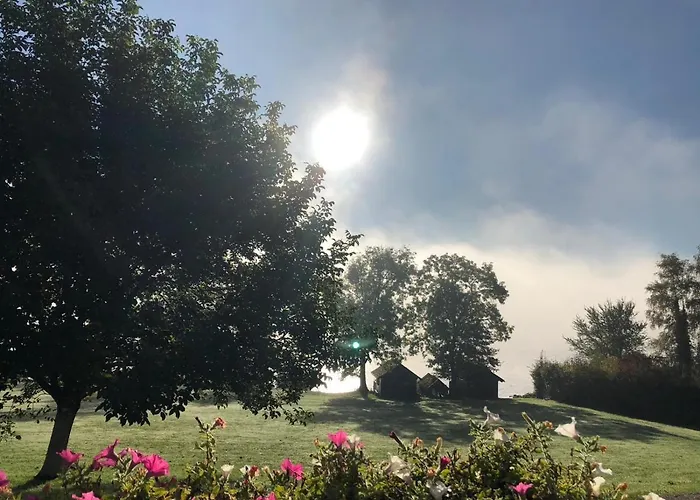 Garni Dorferwirt Am Irrsee فندق 3*