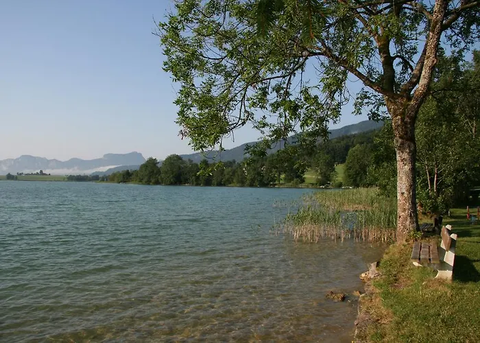 فندق Garni Dorferwirt Am Irrsee